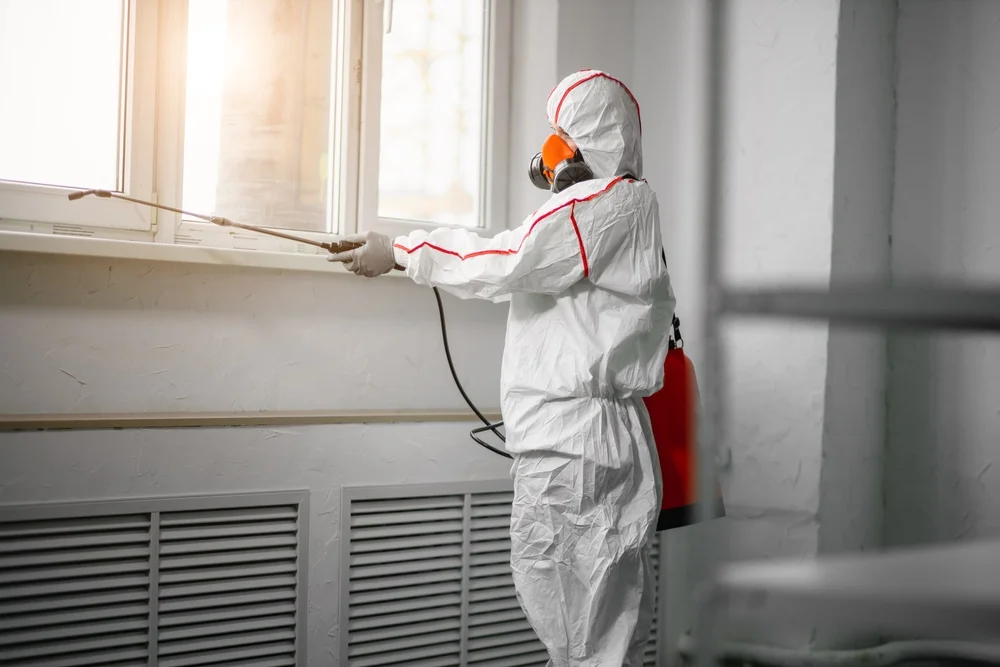 Professional mold remediation services in Delray Beach, FL
